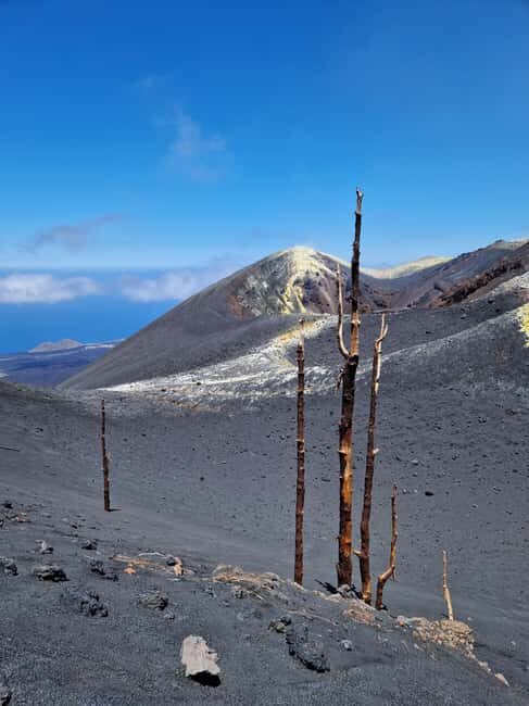 Tajogaite Volcano: the official route with a certified local guide - Key Points