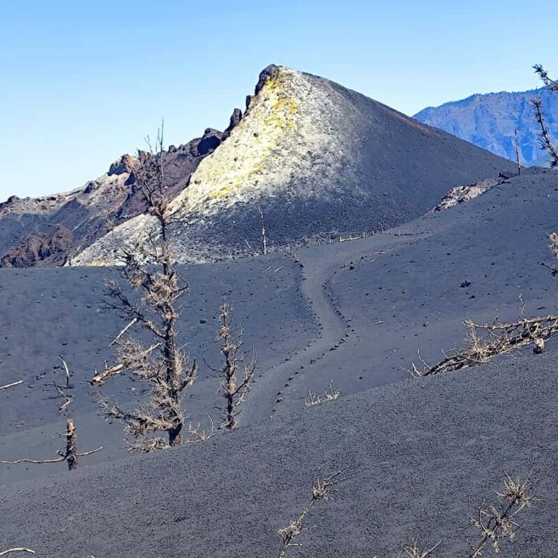 Tajogaite Volcano VIP Experience: Private Tour with Certified Guide - Authentic Insights from Real Travelers