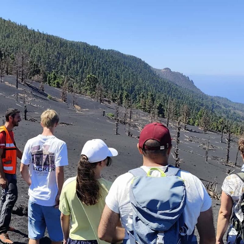 Tajogaite Volcano VIP Experience: Private Tour with Certified Guide - Who Should Book This Experience?