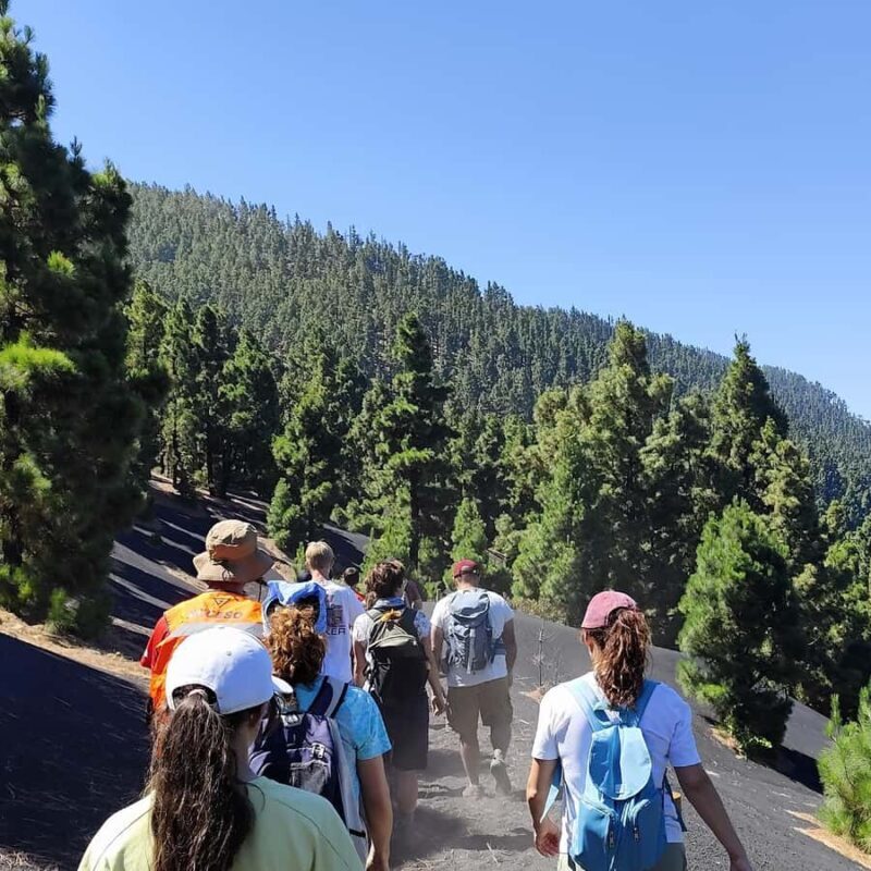 Tajogaite Volcano VIP Experience: Private Tour with Certified Guide - FAQ