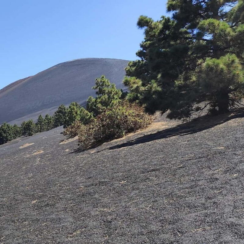 Tajogaite Volcano VIP Experience: Private Tour with Certified Guide - Final Thoughts