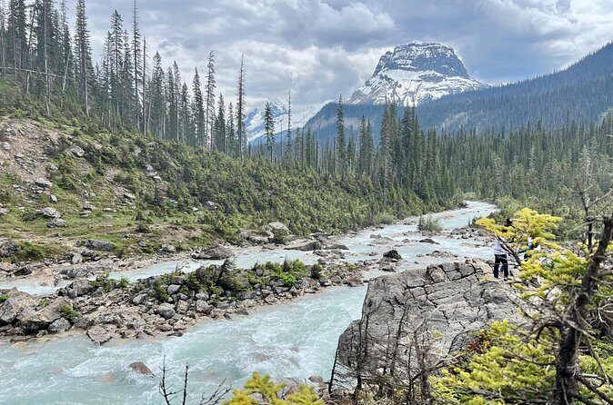 Takakkaw Falls Yoho National Park Bus Tour - Value & Pricing