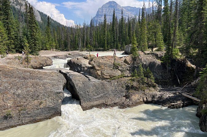Takakkaw Falls Yoho National Park Bus Tour - Overall Experience