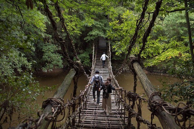 Takamatsu Half-Day Private Tour with Government-Licensed Guide - The Sum Up