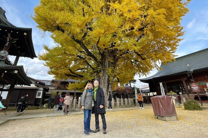 Takayama Local Cuisine, Food & Sake Cultural Tour with Government-Licensed Guide - Discovering Takayama: An In-Depth Review