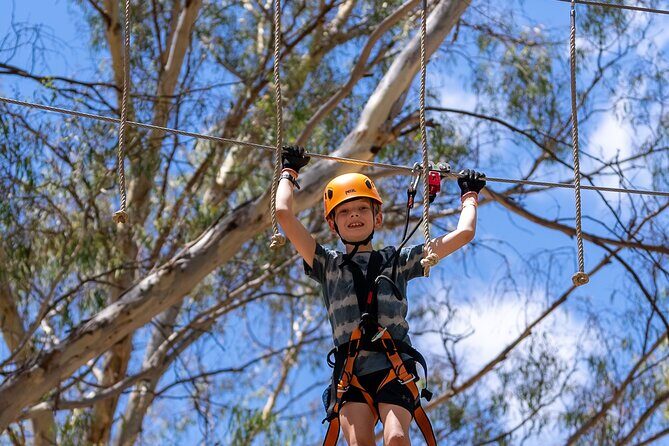 Take the Challenge and Conquer the Salisbury Treetops - An In-Depth Look at Salisbury Treetops Adventure