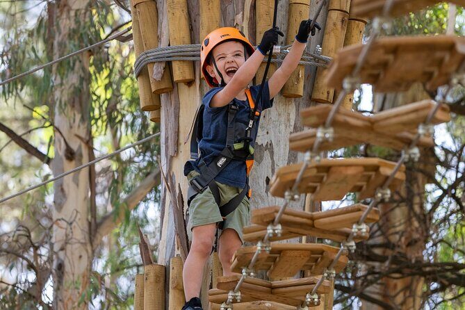 Take the Challenge and Conquer the Salisbury Treetops - Who Would Enjoy Salisbury Treetops?