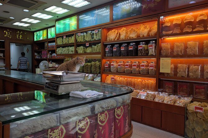 Taking you to every corner of Hong Kong! - An Insider’s Look at the Hong Kong Tour Experience