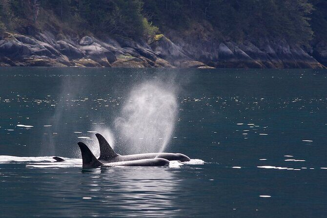 Tales & Tides: Alaskan Lore & Wildlife Cruise - Exploring the Itinerary in Detail