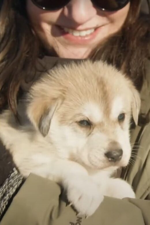 Talkeetna: Alaskan Winter Dog Sledding Experience - Why This Tour Is Worth Considering