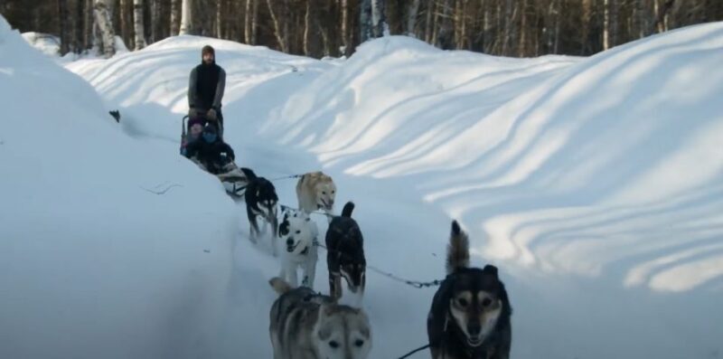 Talkeetna: Alaskan Winter Dog Sledding Experience - FAQs