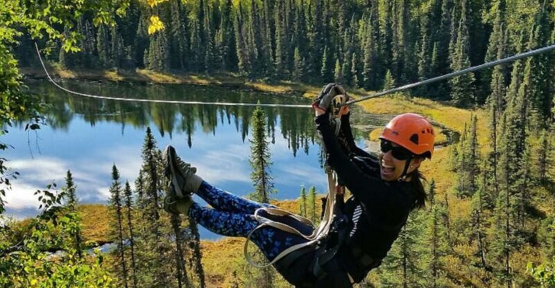 Talkeetna: Denali Zipline Tours - Authentic Experiences and Genuine Reviews