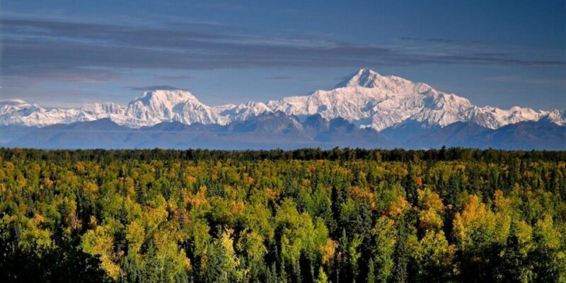 Talkeetna: Denali Zipline Tours - What’s Included and What to Consider