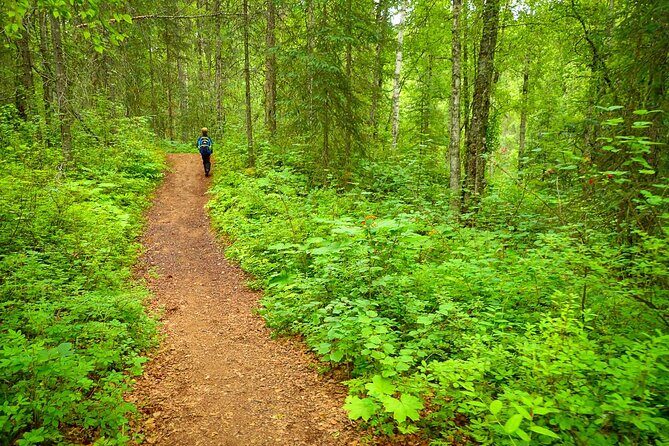 Talkeetna Lakes Hike Guided by a Naturalist - Introducing the Talkeetna Lakes Hike Guided by a Naturalist