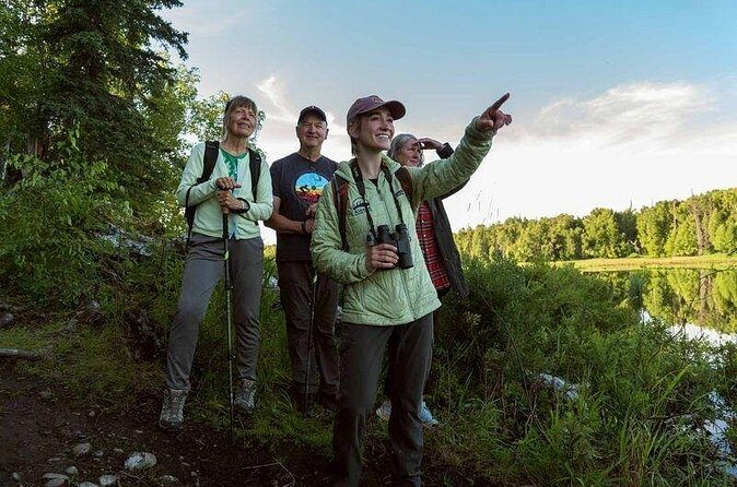 Talkeetna Lakes Hike Guided by a Naturalist - Final Thoughts: Why Choose the Talkeetna Lakes Hike?