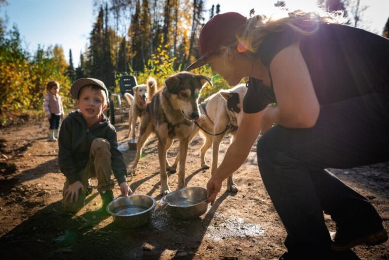 Talkeetna: Mushing Experience with Iditarod Champion Dogs - Key Points