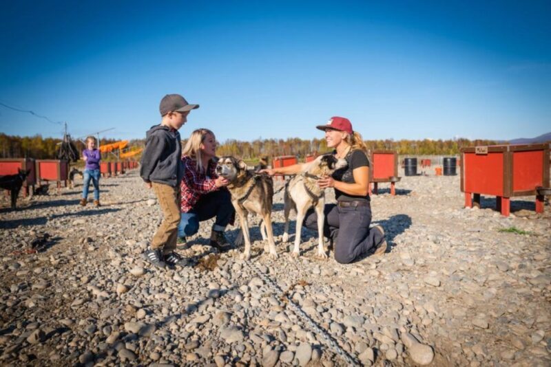 Talkeetna: Mushing Experience with Iditarod Champion Dogs - What to Expect from Your Mushing Adventure