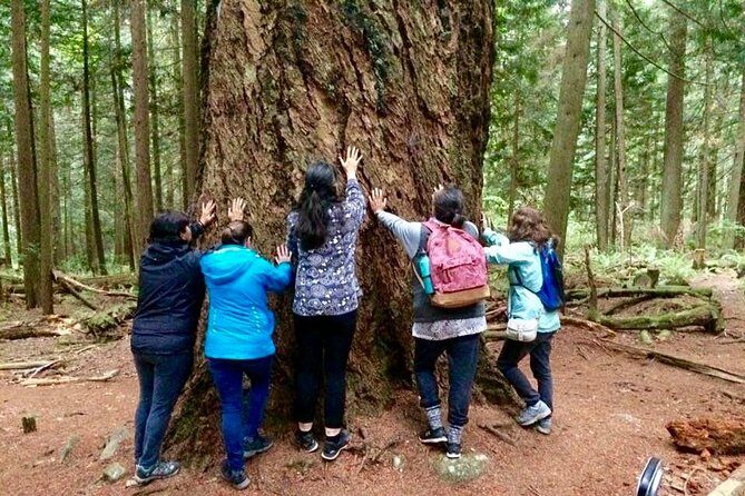 Talking Trees: Stanley Park Indigenous Walking Tour Led by a First Nations Guide - Practical Tips for Travelers