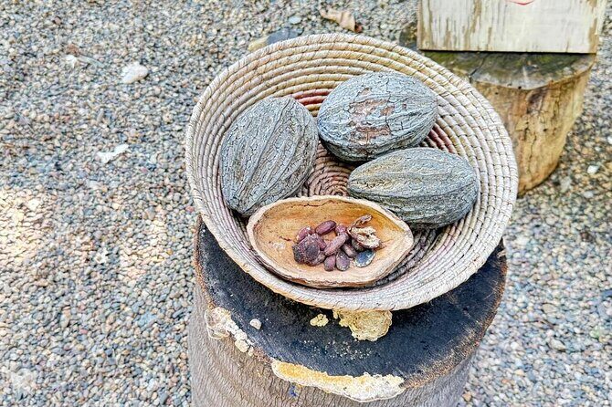 Taller de Cacao Todo Incluido - FAQs