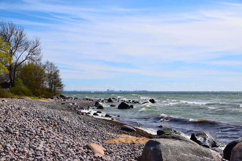 Tallinn: 3-Hour Ethnographic Museum of Estonia - Key Points