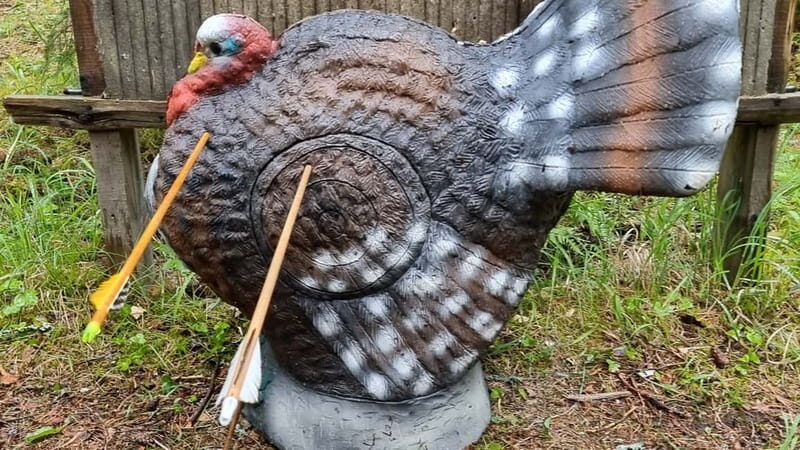 Tallinn: Beginner Archery Class with Transfer - An Introduction to Archery in Tallinn