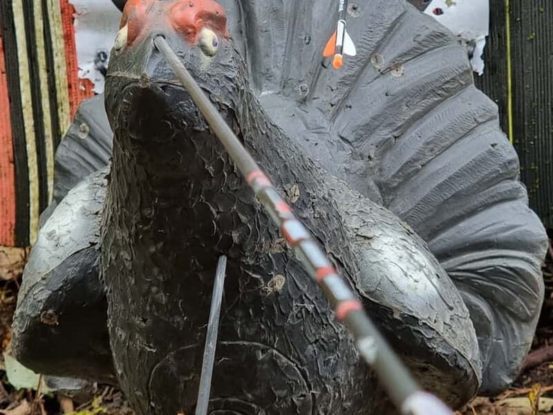 Tallinn: Beginner Archery Class with Transfer - Who Is This Tour Best For?