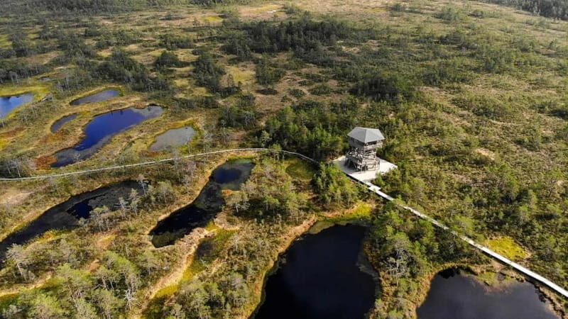 Tallinn: Best Estonian Nature Trails in a Day Guided Tour - A Natural Escapade in Estonia: What to Expect