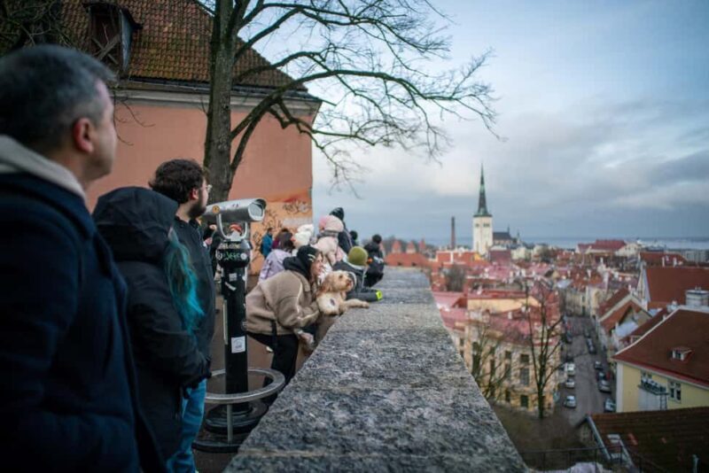 Tallinn Classic: Old Town and Kadriorg District Guided Tour - Key Points