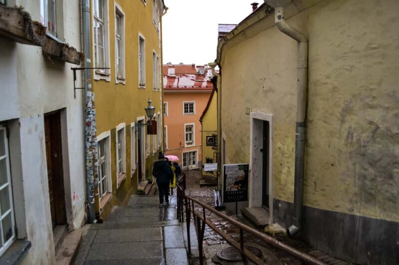 Tallinn Classic: Old Town and Kadriorg District Guided Tour - Practical Details & Value