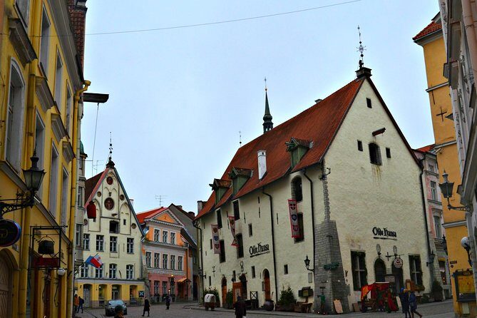 Tallinn Day Cruise from Helsinki - Transportation and Logistics