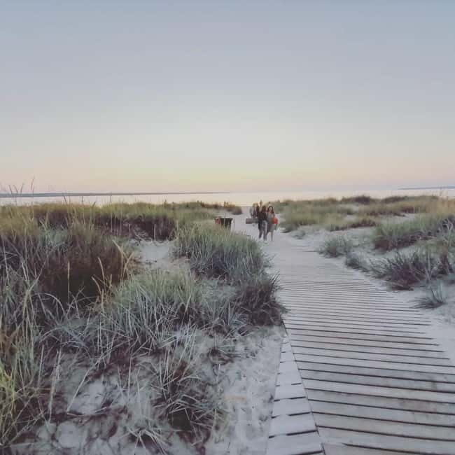 Tallinn: Hidden Gems of Northern Estonia Half Day Trip 5h - Who Is This Tour For?