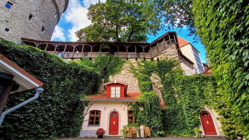 Tallinn: Old Town Private & Personalized Walking Tour - An In-Depth Look at the Tour Experience