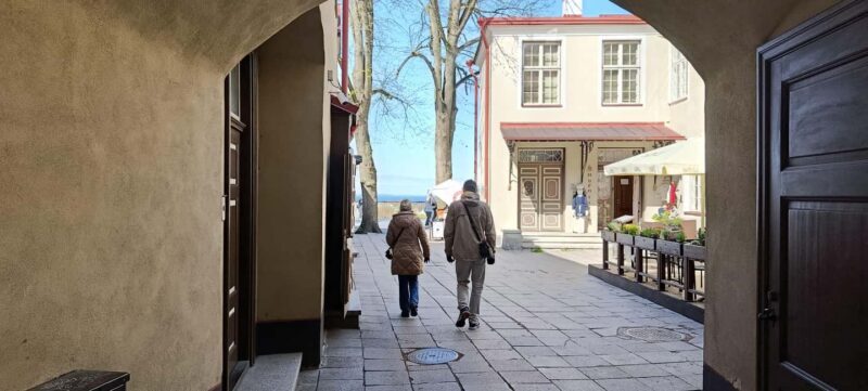 Tallinn: Private Walking Tour with a Local - Price and Value