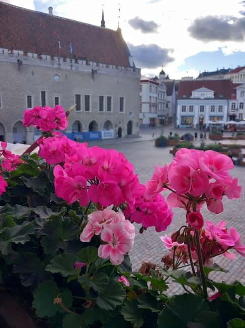 Tallinn Town Hall with a guide - What to Expect: A Brief but Insightful Journey