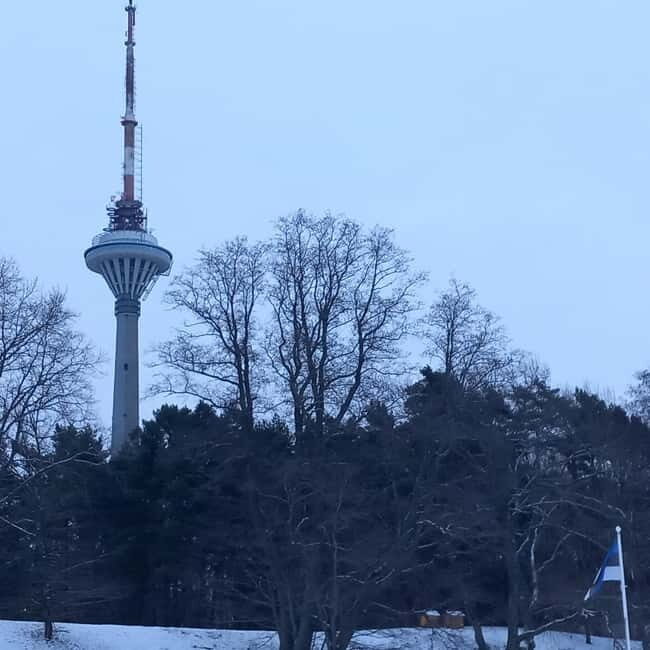 Tallinn TV tower and Botanic garden (a tour with a guide) - Key Points