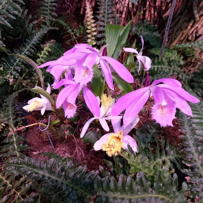 Tallinn TV tower and Botanic garden (a tour with a guide) - A Deep Dive into the Experience