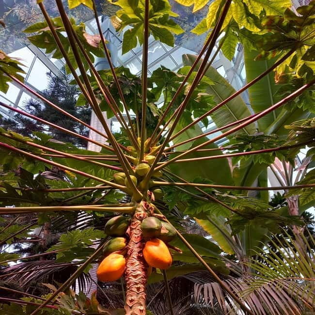 Tallinn TV tower and Botanic garden (a tour with a guide) - Final Thoughts: Who Is This Tour Best For?