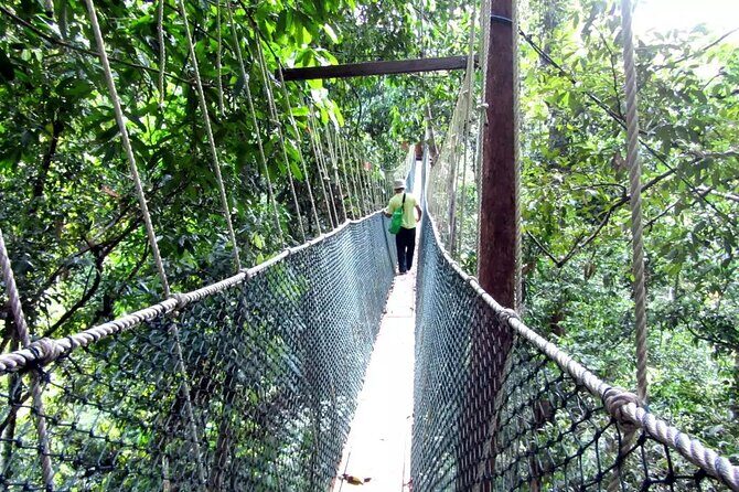 Taman Negara Day Tour with Canopy Walk - Key Points