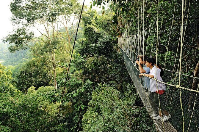 Taman Negara Rainforest Day Tour With Batu Caves Bonus Stop *25* - Key Points