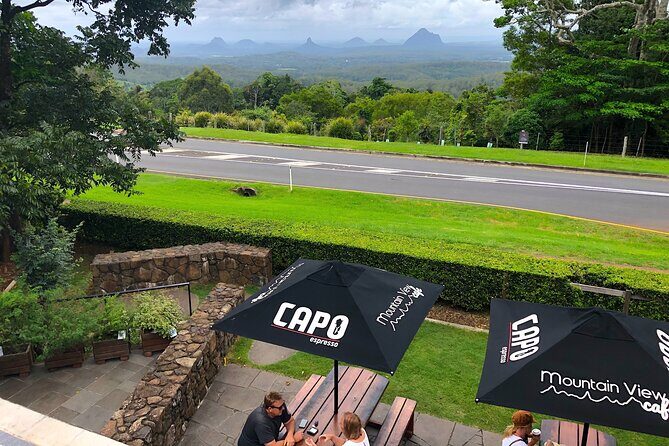 Tamborine Explorer from Brisbane - Practical Details and Transportation