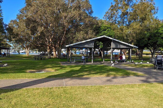 Tamborine Mountain and Paradise Point Tour from Brisbane - A Well-Rounded Day Out with Natural and Cultural Sights