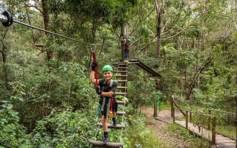 Tamborine Mountain: TreeTop Challenge Adrenaline Pass - Key Points