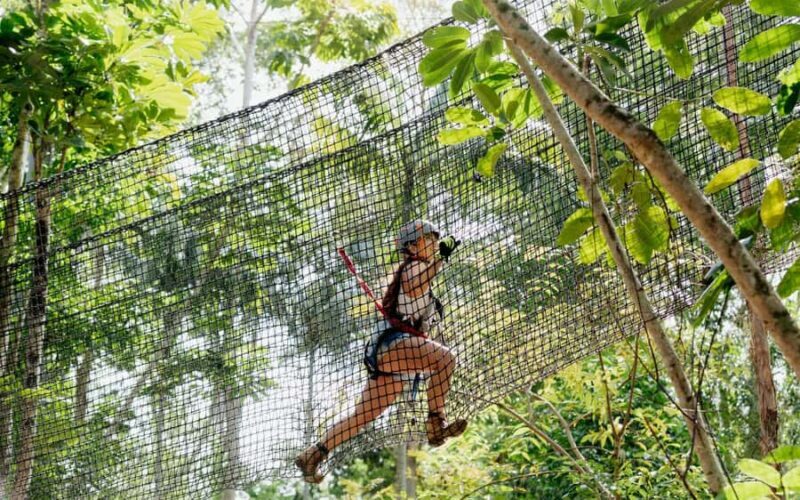 Tamborine Mountain: TreeTop Challenge Adrenaline Pass - What the Experience Entails