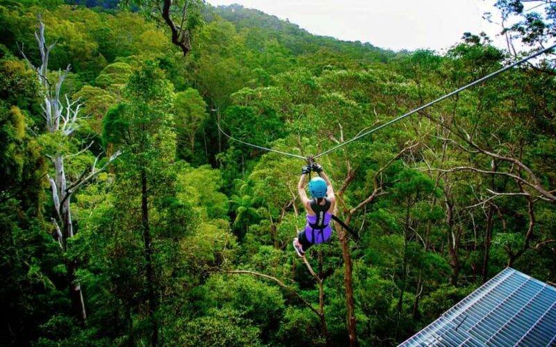 Tamborine Mountain: TreeTop Challenge Adrenaline Pass - Practical Details