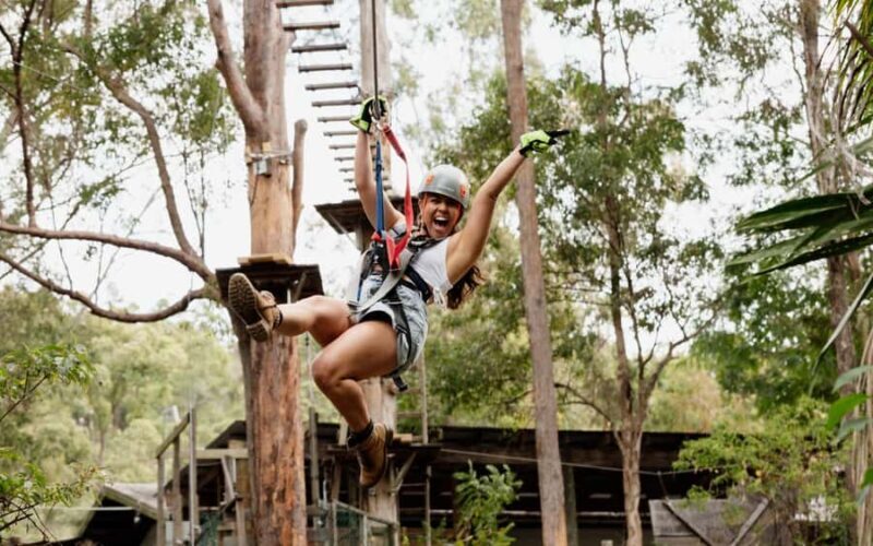 Tamborine Mountain: TreeTop Challenge Adventure Park - The Experience: What to Expect