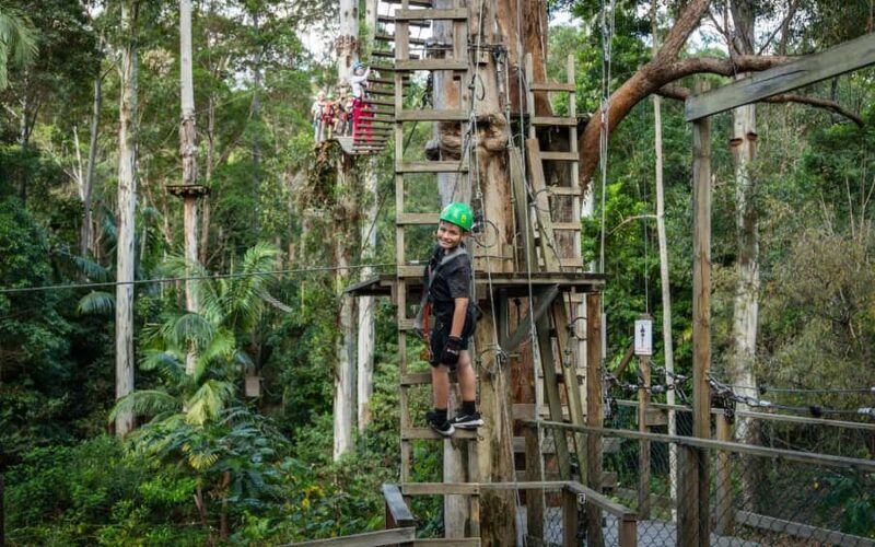 Tamborine Mountain: TreeTop Challenge Adventure Park - FAQs