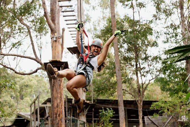 Tamborine Mountain TreeTop Challenge Adventure Park - Exploring Tamborine Mountains TreeTop Challenge: What to Expect