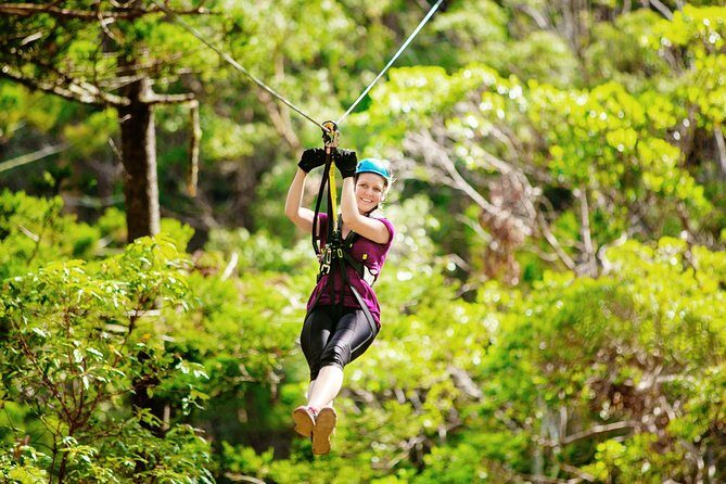 Tamborine Mountain TreeTop Challenge Adventure Park - Final Thoughts