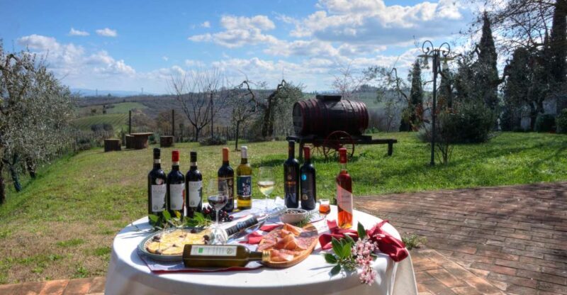 Tamburini Wine Tour and Tasting - A Deep Dive into the Experience