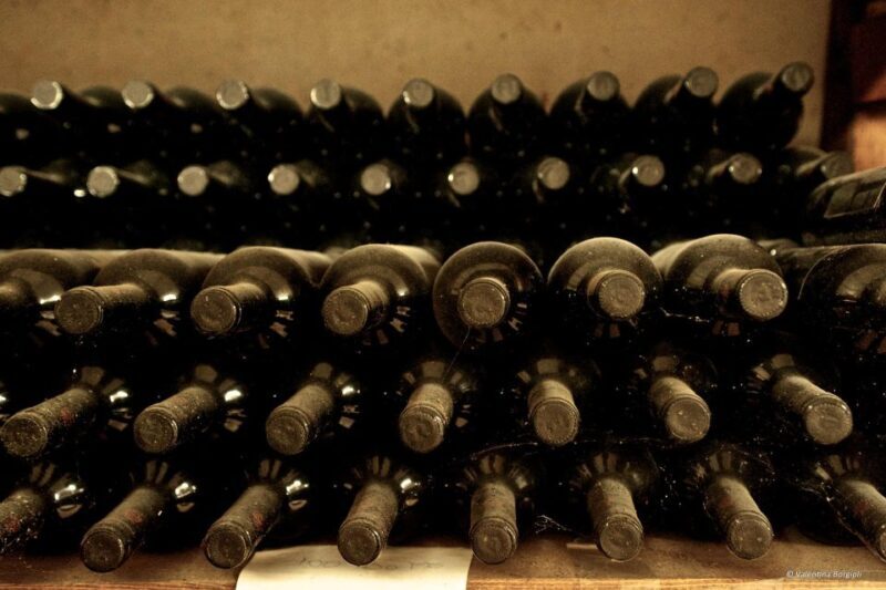 Tamburini Wine Tour and Tasting - Who is this tour best suited for?